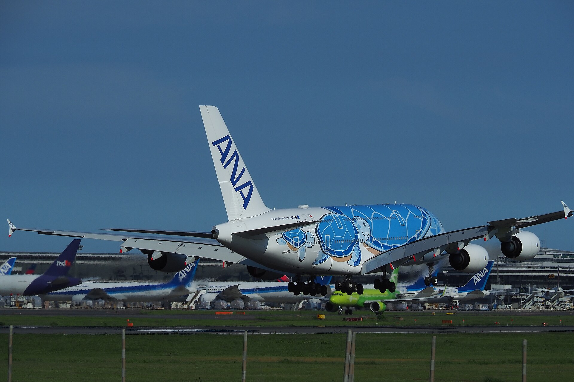 Modrý Airbus A380 ANA Flying Honu Lani JA381A na letišti Narita, pohled zezadu s roztaženými křídly.